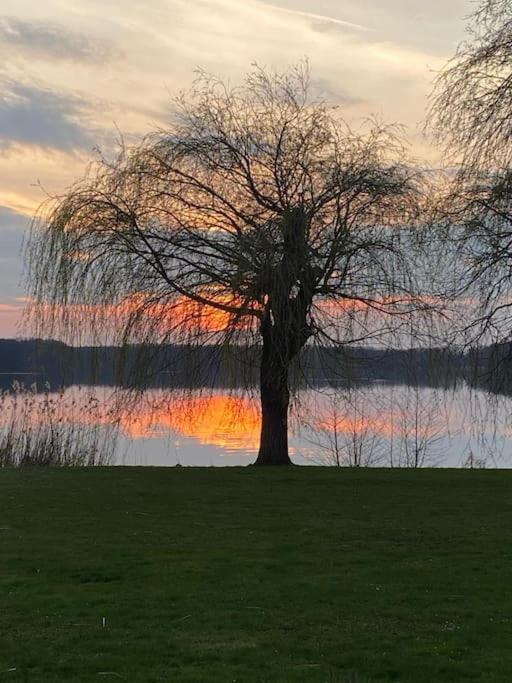 Ferienwohnung Ferien Am Grossen Wuensdorfer See Zossen Exterior foto